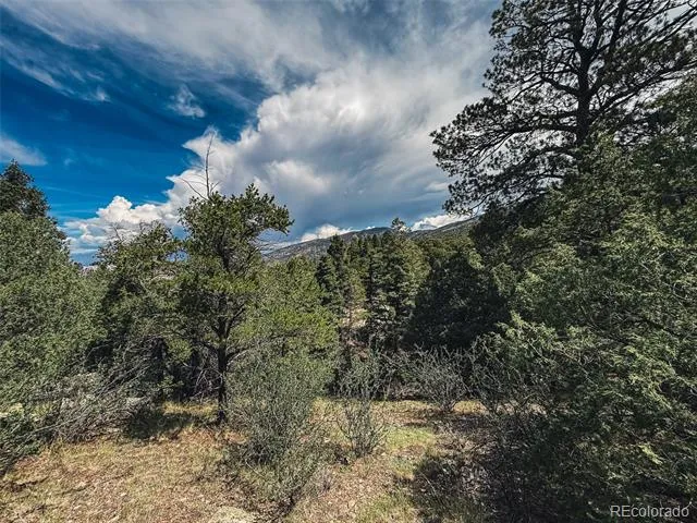401 Lake Of The Falls Parkway Mosca, CO 81146