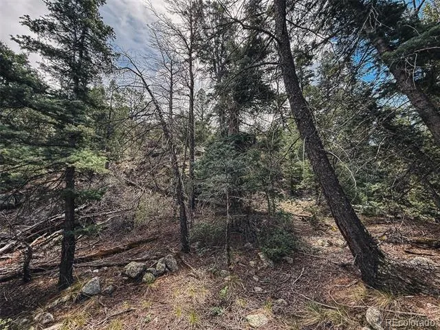 401 Lake Of The Falls Parkway Mosca, CO 81146