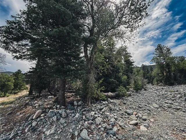 401 Lake Of The Falls Parkway Mosca, CO 81146