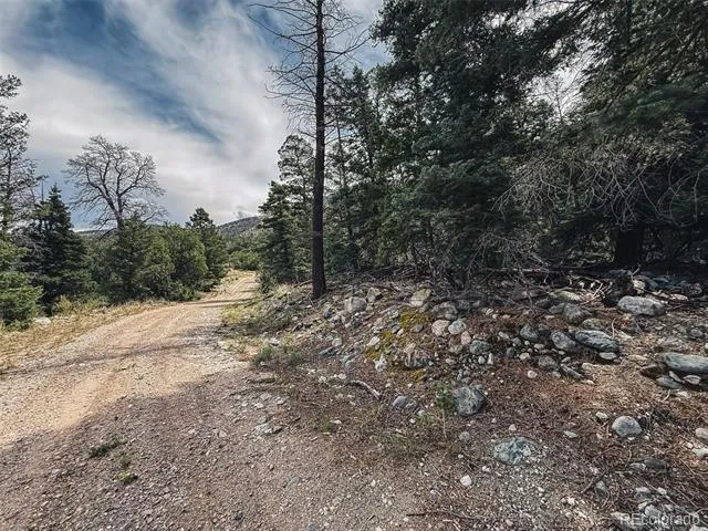 401 Lake Of The Falls Parkway Mosca, CO 81146