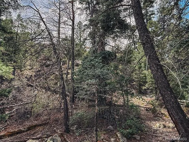 401 Lake Of The Falls Parkway Mosca, CO 81146