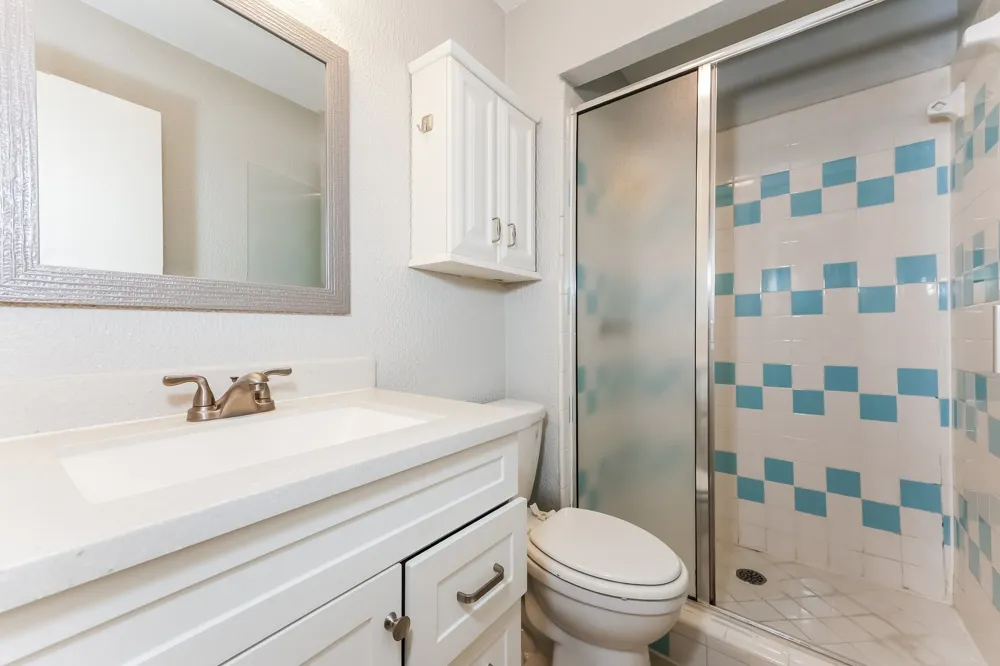 738 Lisa Lane Cedar Hill, TX 75104