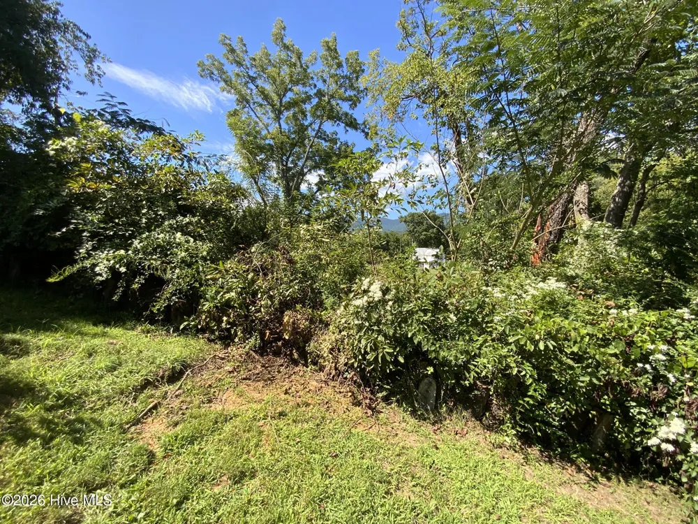 183 Colvard Avenue Andrews, NC 28901
