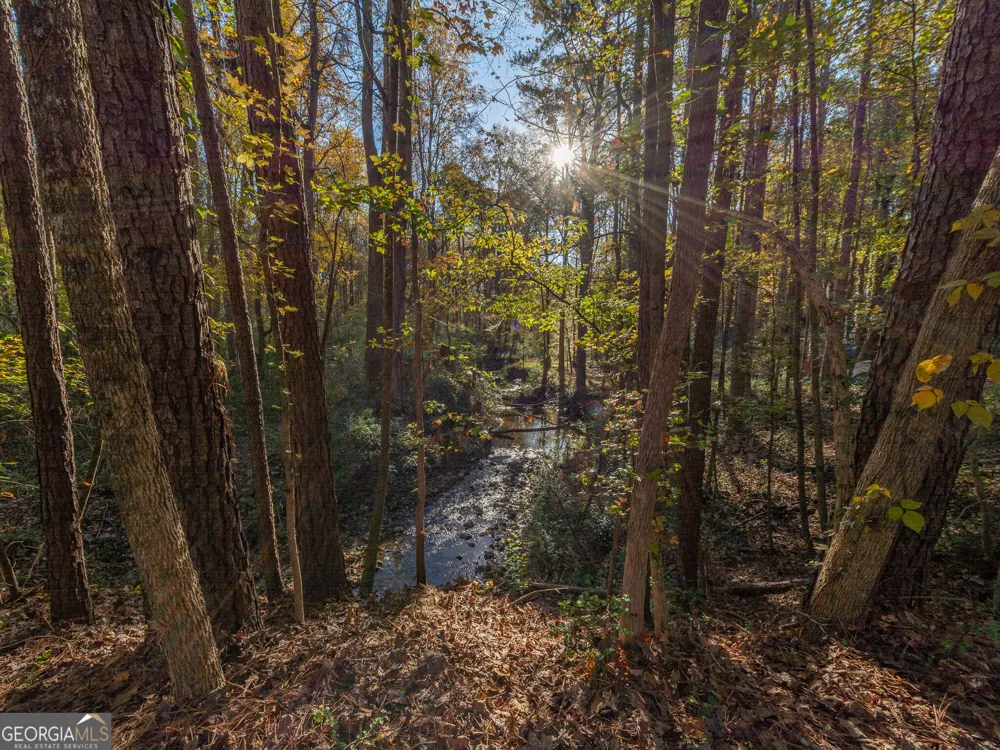 479 Bradshaw LN Canton, GA 30115
