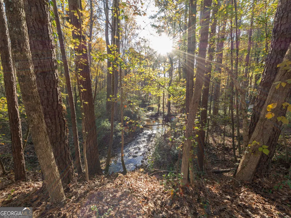 479 Bradshaw LN Canton, GA 30115