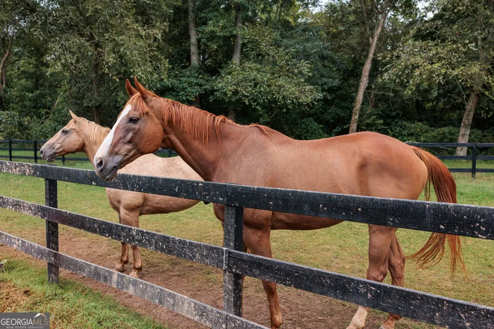 285 Air Acres WAY Woodstock, GA 30188