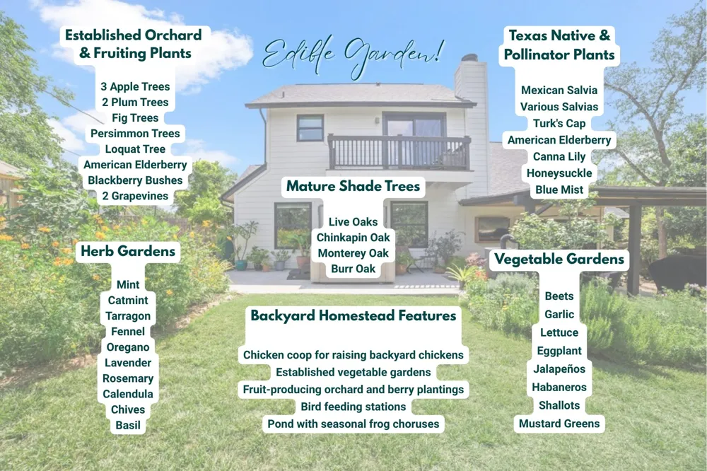 1117 San Augustine Drive Austin, TX 78733