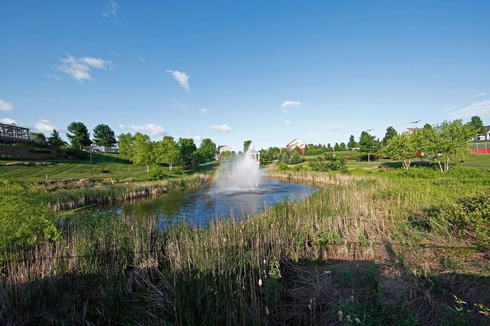 11409 Balsam Way Woodbury, MN 55129