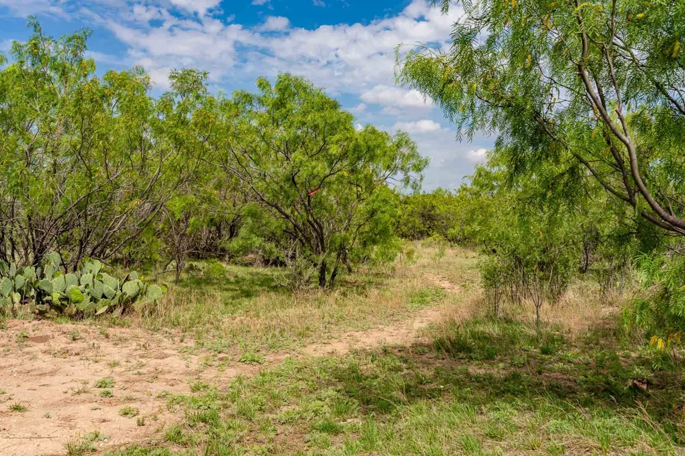 1032 Braune Road Abilene, TX 79603