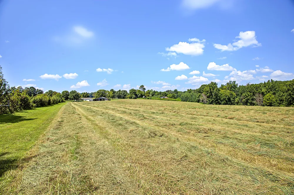 54 Purcell Rd Leoma, TN 38468