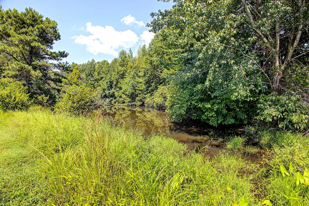 54 Purcell Rd Leoma, TN 38468