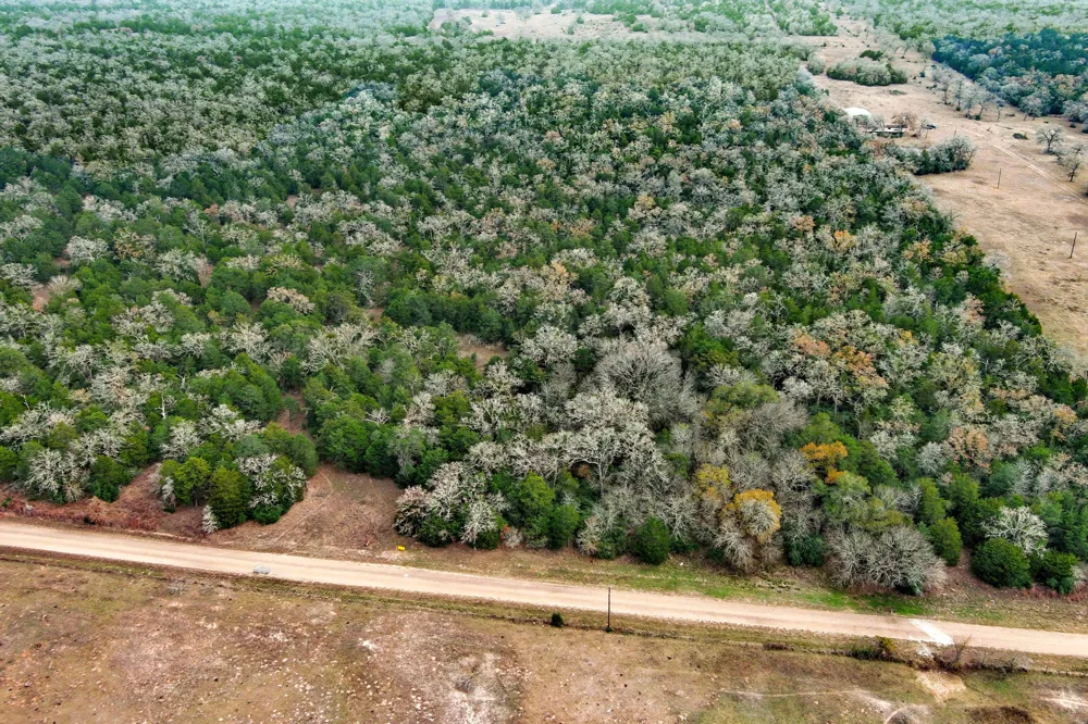 24 CR 332 ROAD Paige, TX 78659