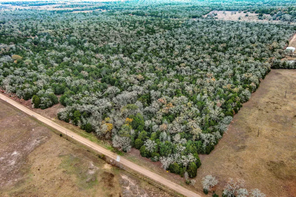 24 CR 332 ROAD Paige, TX 78659