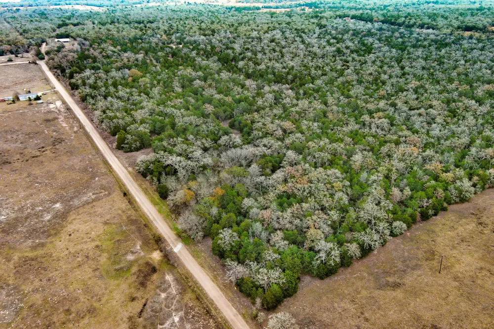 24 CR 332 ROAD Paige, TX 78659