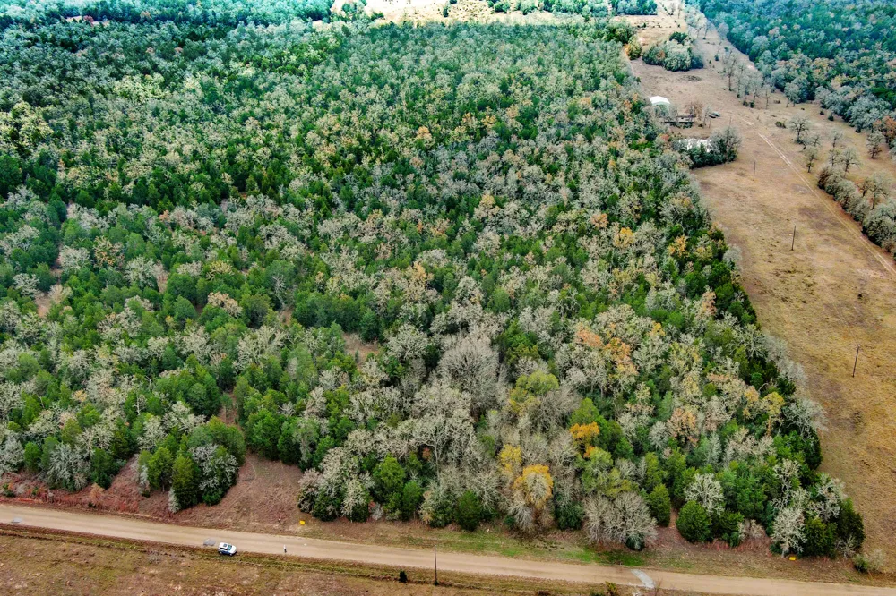 24 CR 332 ROAD Paige, TX 78659