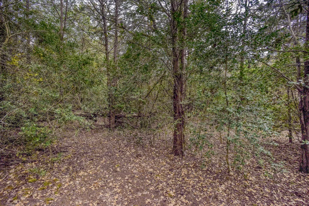 24 CR 332 ROAD Paige, TX 78659