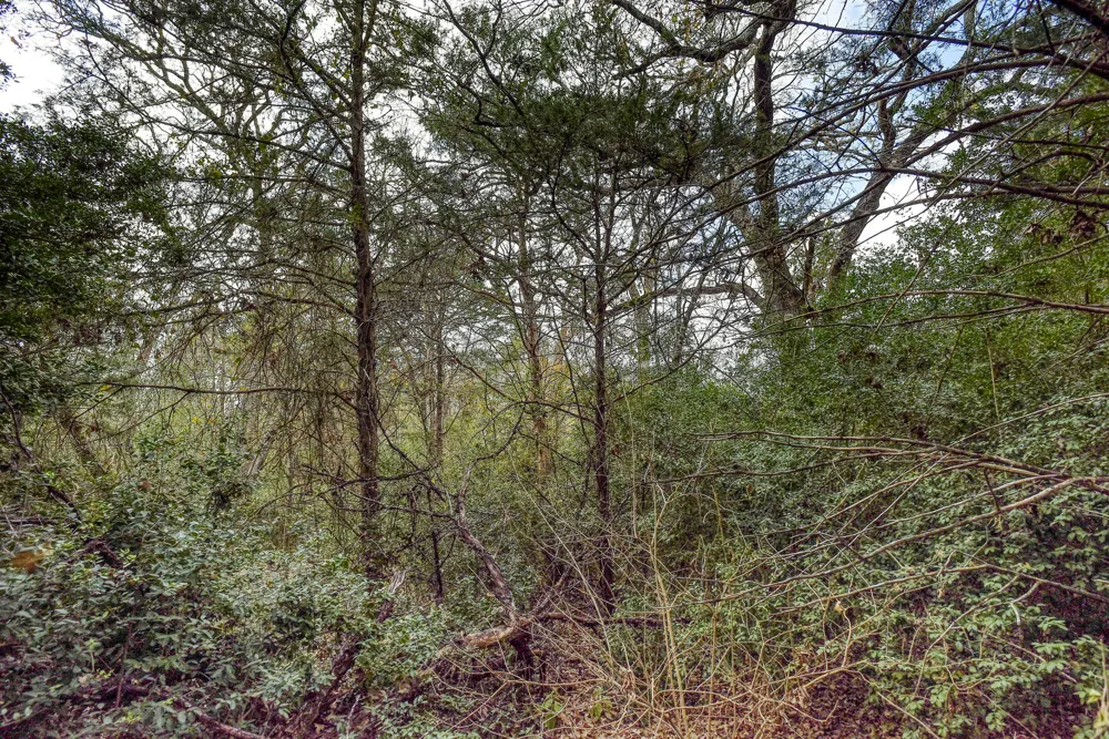 24 CR 332 ROAD Paige, TX 78659