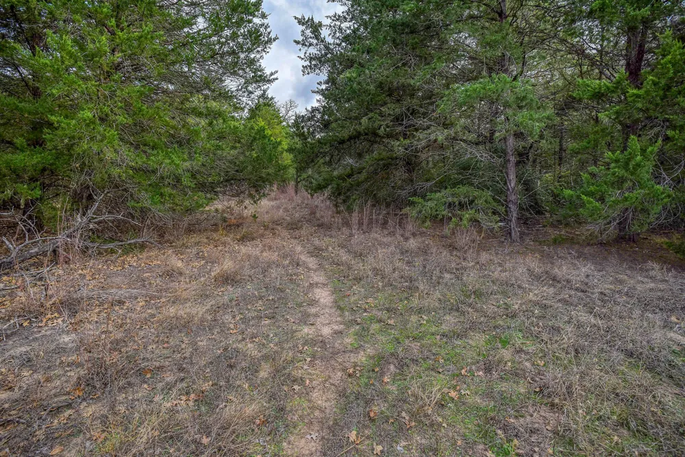 24 CR 332 ROAD Paige, TX 78659