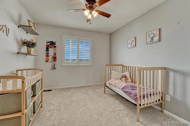 3130 Open Sky Way Castle Rock, CO 80109