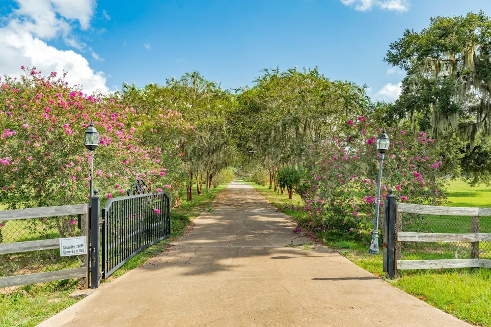 2418 Majestic Oaks Court Rosharon, TX 77583