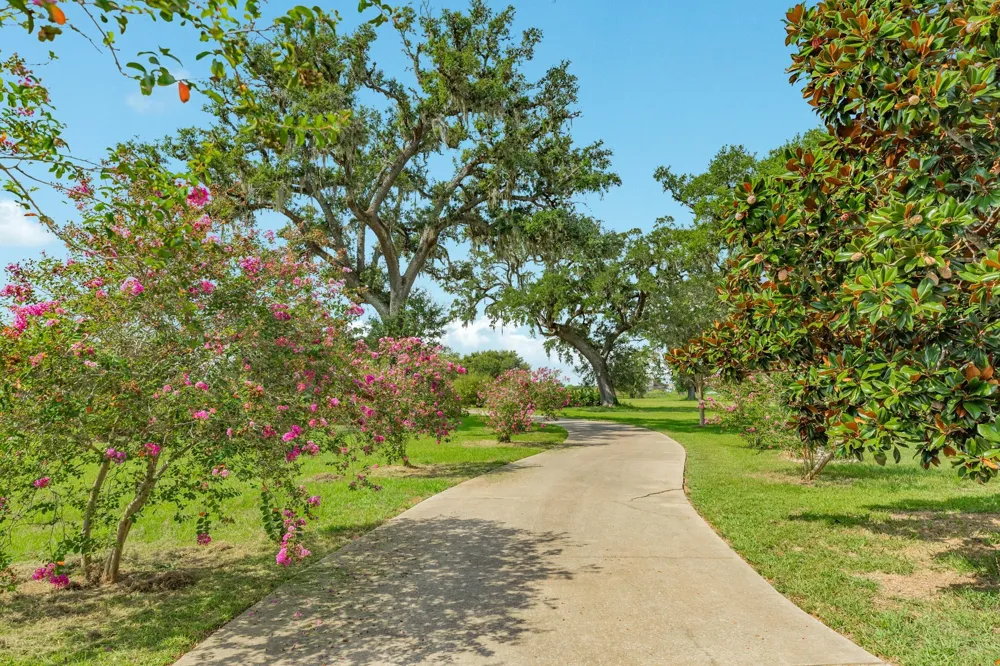 2418 Majestic Oaks Court Rosharon, TX 77583