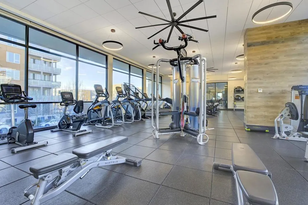 2359 Halogen #104 Fremont, CA 94539