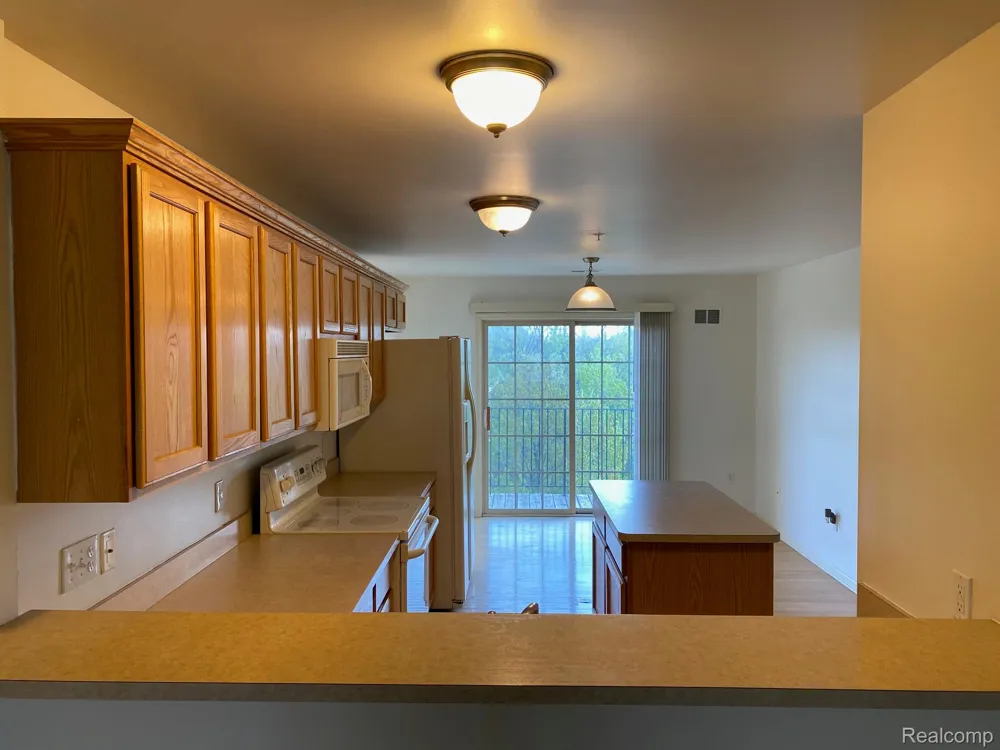 39615 Springwater Drive Northville Township, MI 48168