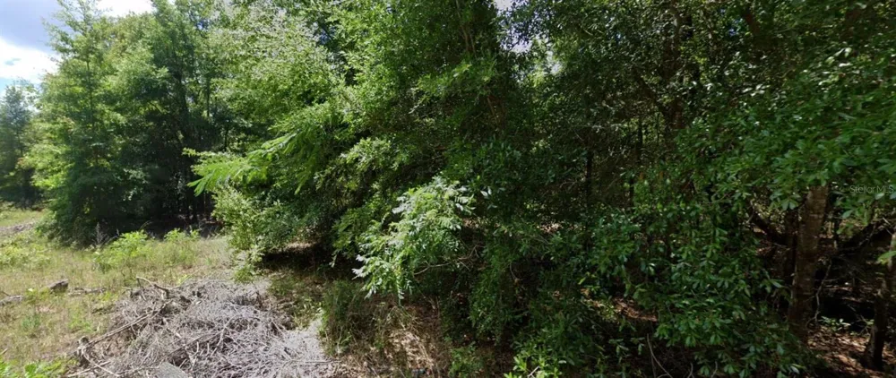0 NW 14TH ocala, FL 34482