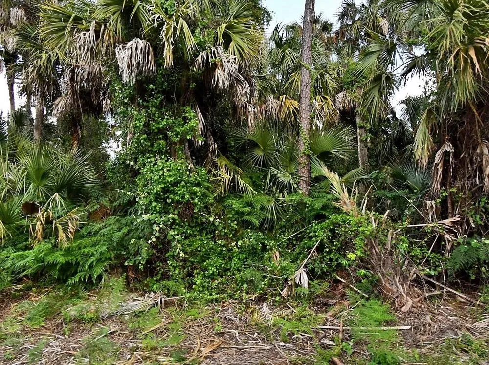 CALADIUM ROAD North Port, FL 34288