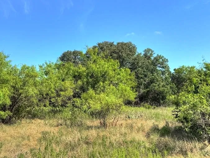 3 US Hwy 190 Highway Lometa, TX 78853