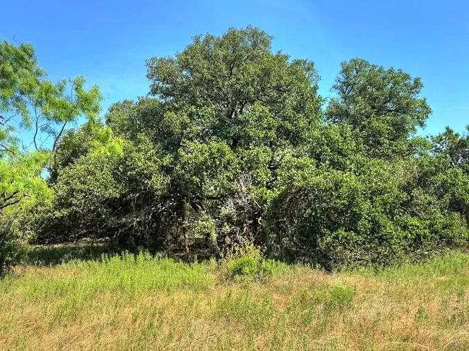 3 US Hwy 190 Highway Lometa, TX 78853