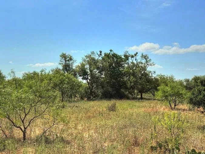 3 US Hwy 190 Highway Lometa, TX 78853