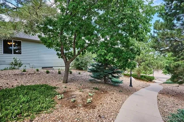 1925 Five Iron Drive Castle Rock, CO 80104