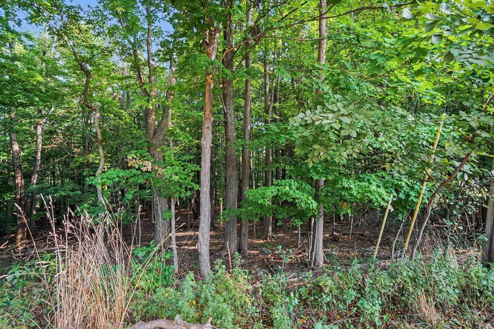 2610 Parkview Avenue Kalamazoo, MI 49008