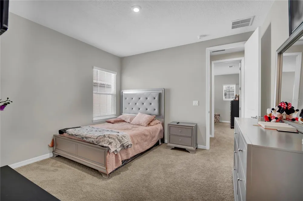 2920 AGOSTINO TERRACE Kissimmee, FL 34746