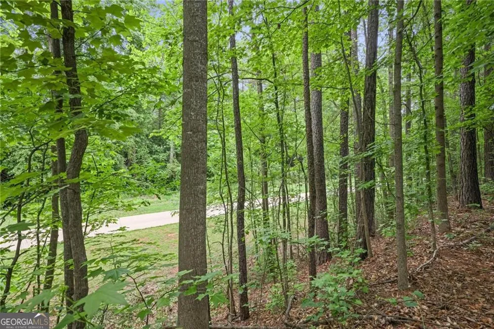 1971 Silver Birch DR SE Smyrna, GA 30080