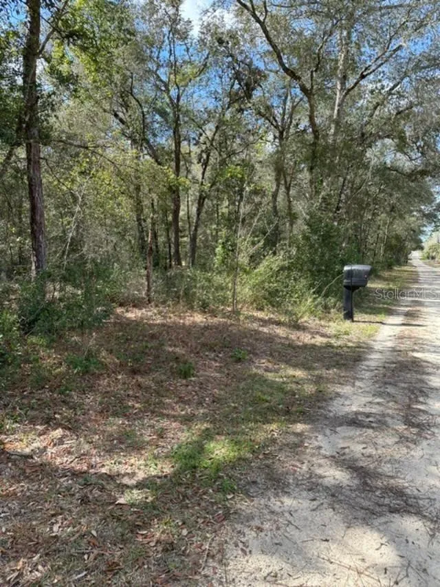 3348 E HESTER STREET Inverness, FL 34453