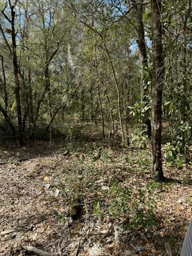 3348 E HESTER STREET Inverness, FL 34453