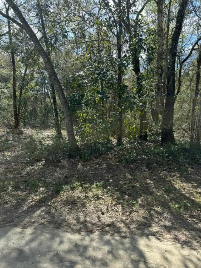 3348 E HESTER STREET Inverness, FL 34453
