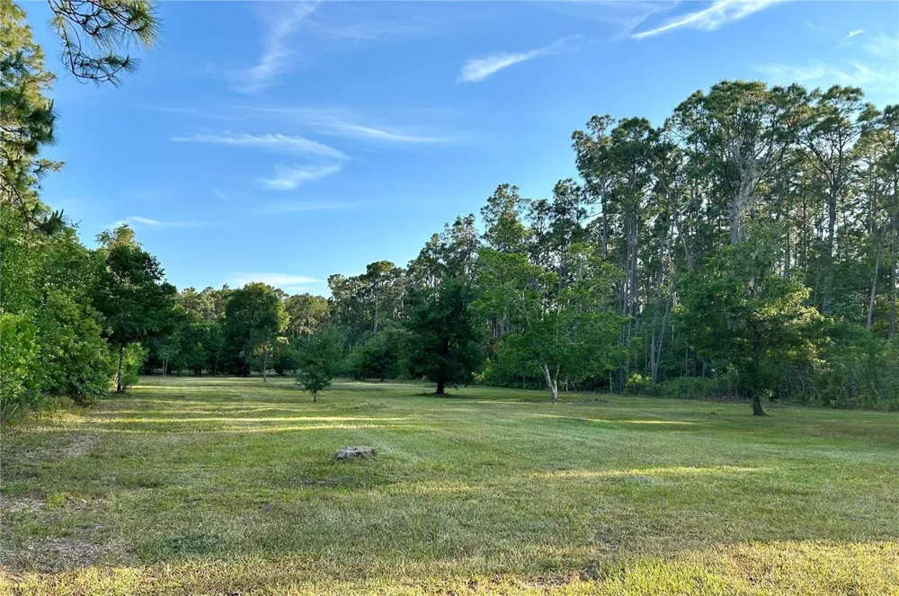 LIMPKIN LANE Frostproof, FL 33843