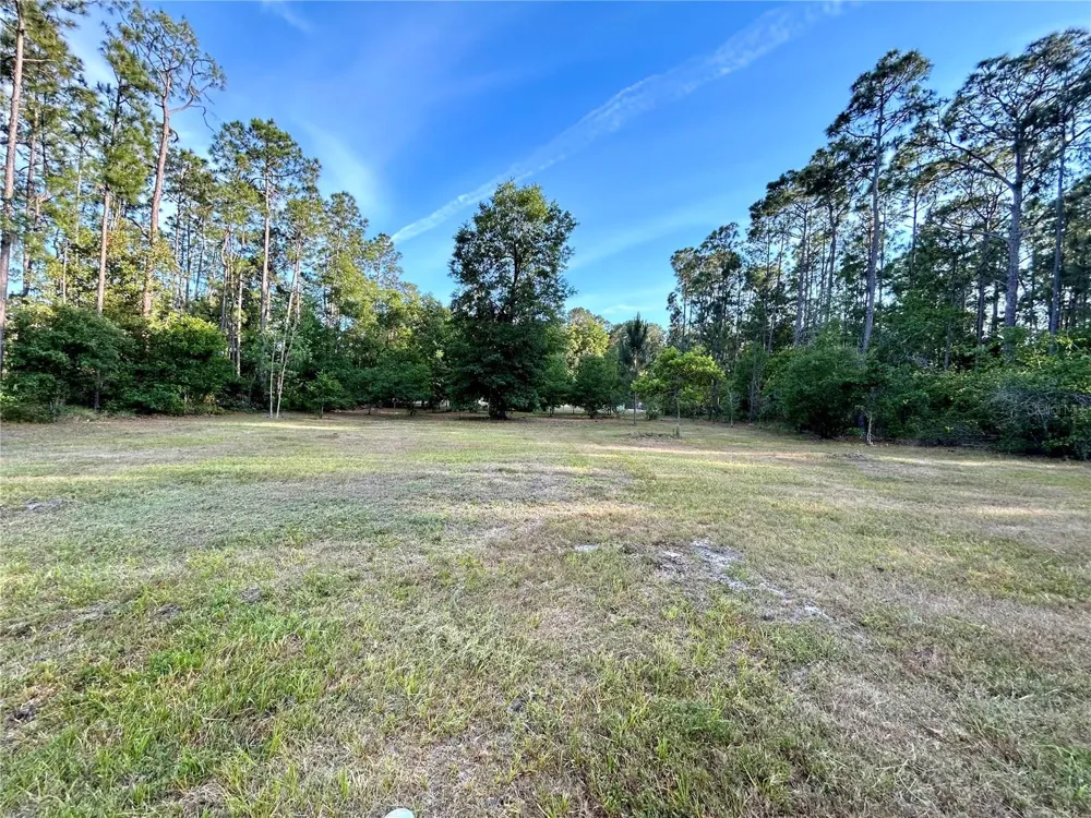 LIMPKIN LANE Frostproof, FL 33843