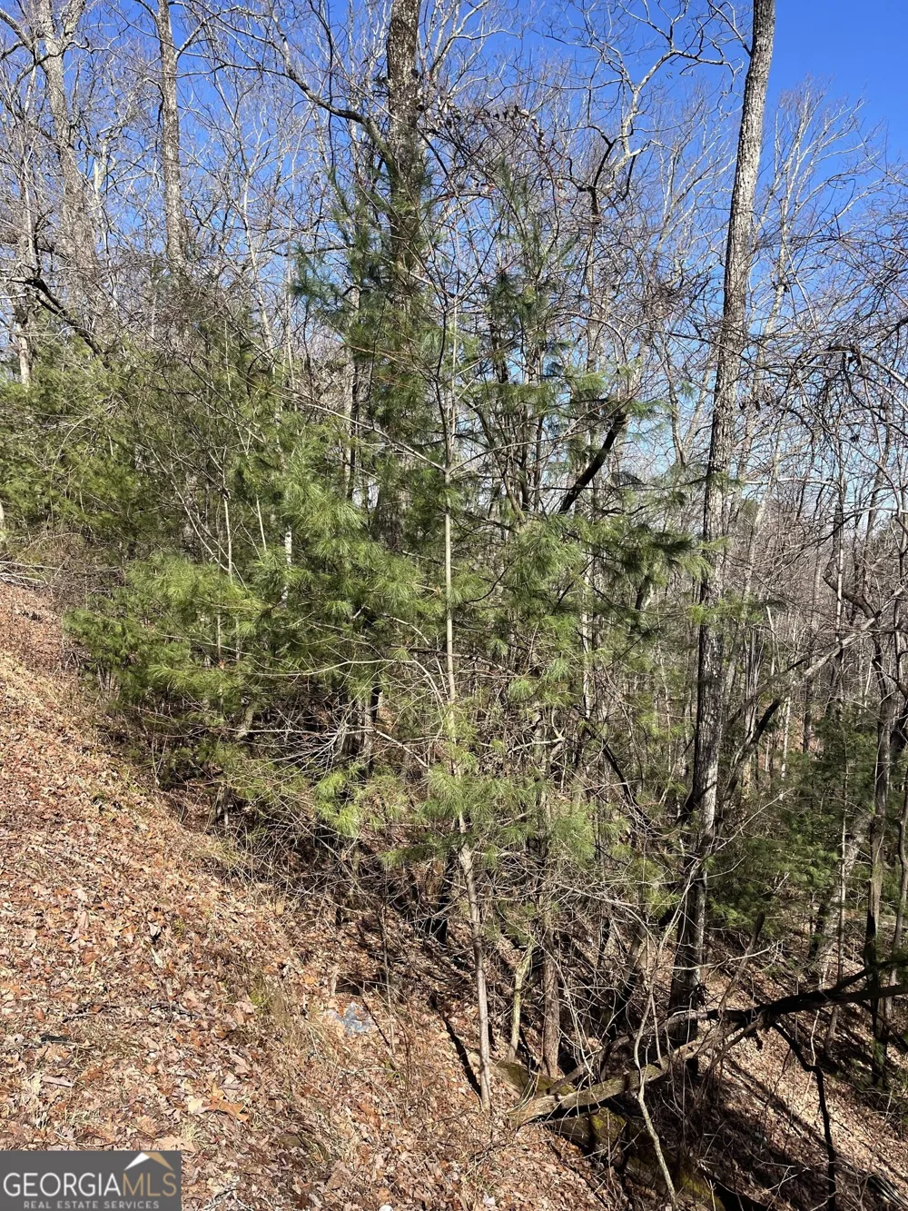 0 Eastman MTN RD Tiger, GA 30576