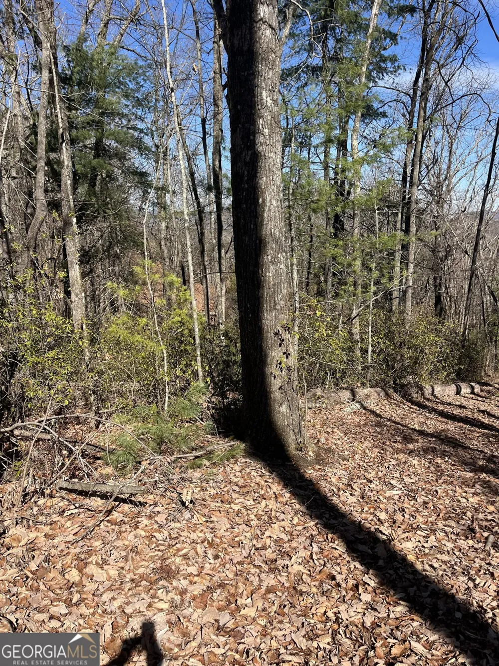 0 Eastman MTN RD Tiger, GA 30576