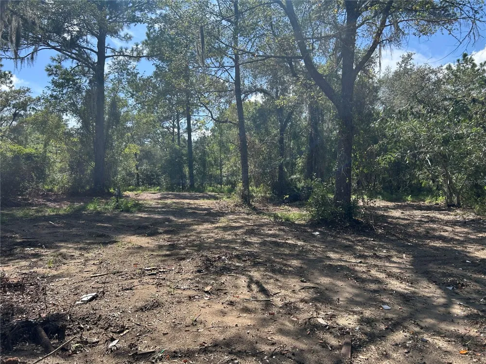 1631 NE 123RD TERRACE Williston, FL 32696