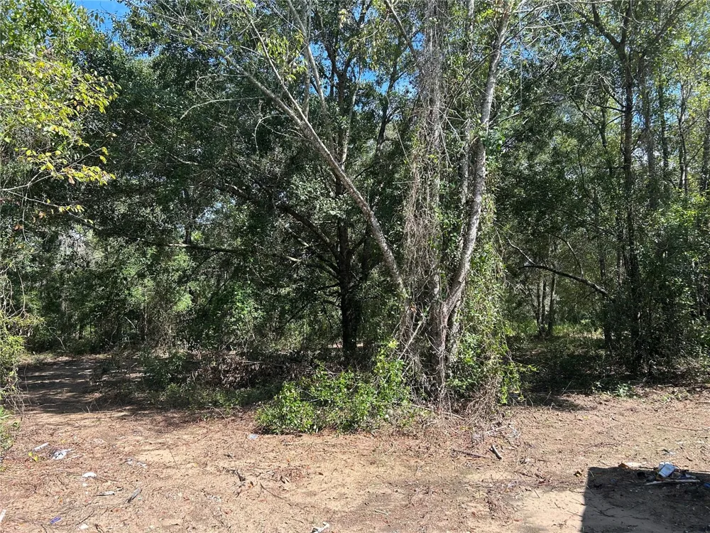 1631 NE 123RD TERRACE Williston, FL 32696