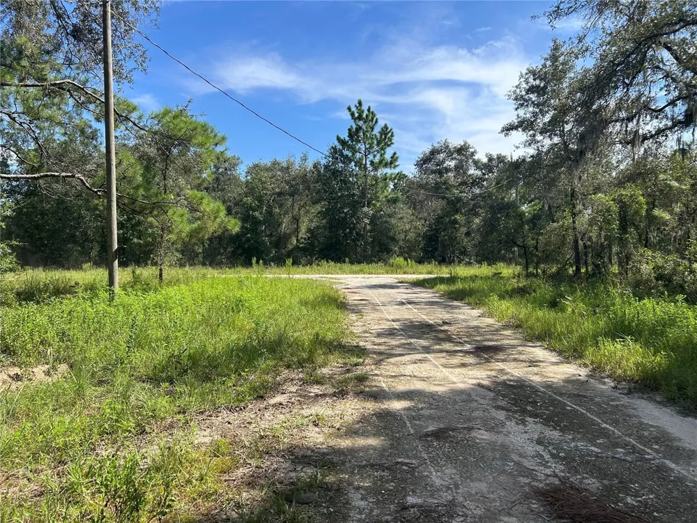 1631 NE 123RD TERRACE Williston, FL 32696