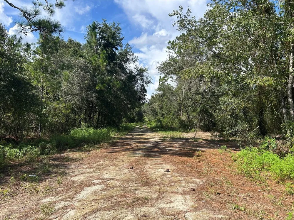 1631 NE 123RD TERRACE Williston, FL 32696
