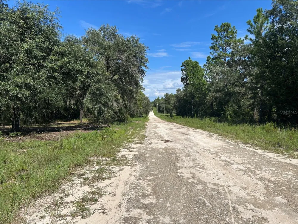 1631 NE 123RD TERRACE Williston, FL 32696