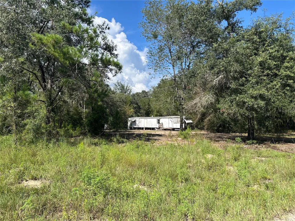 1631 NE 123RD TERRACE Williston, FL 32696