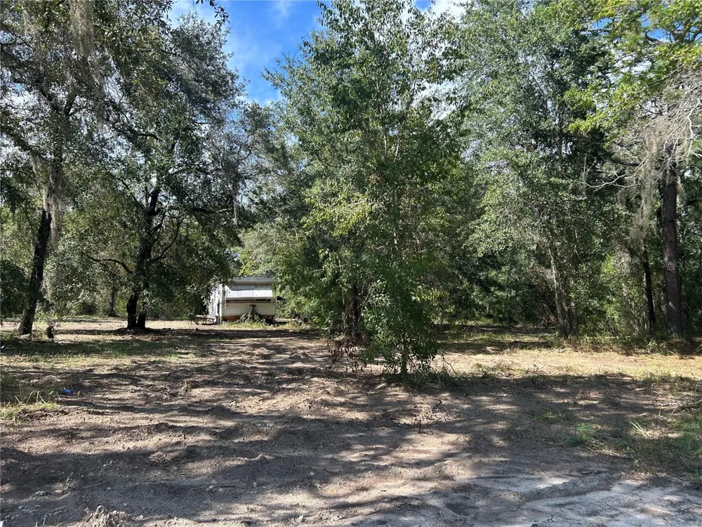 1631 NE 123RD TERRACE Williston, FL 32696